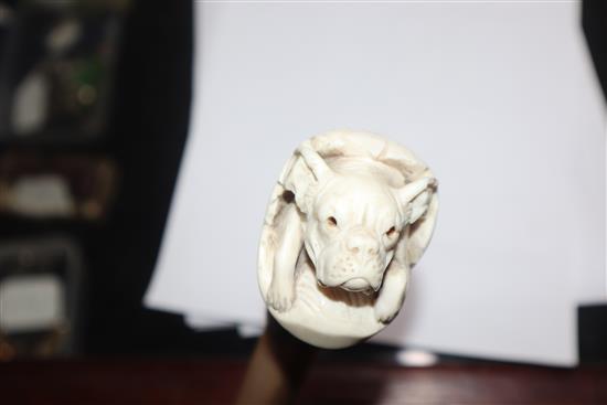 A carved ivory bulldog handled walking stick